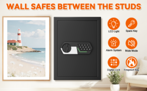 Broynix Wall Safe Product Introduction